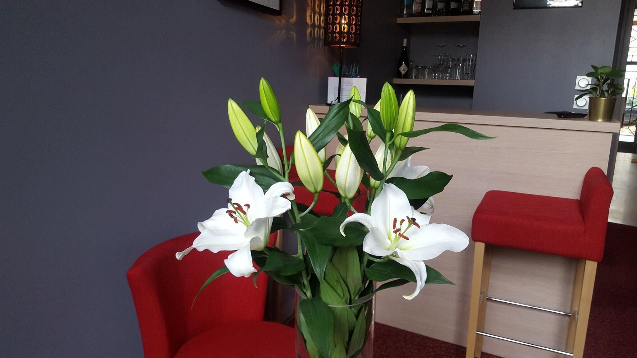 Bar/Salón Hotel Mirabeau