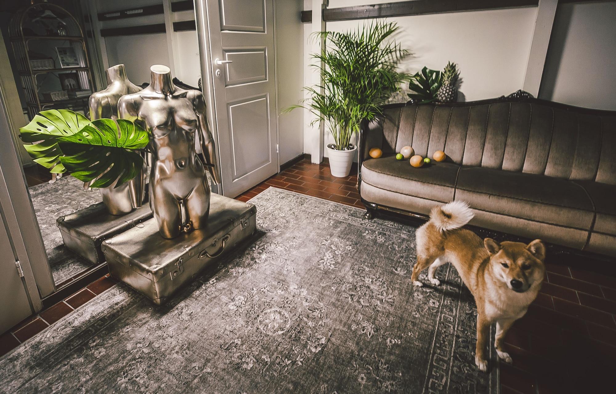 Vista Lobby Wherever Boutique Hostel