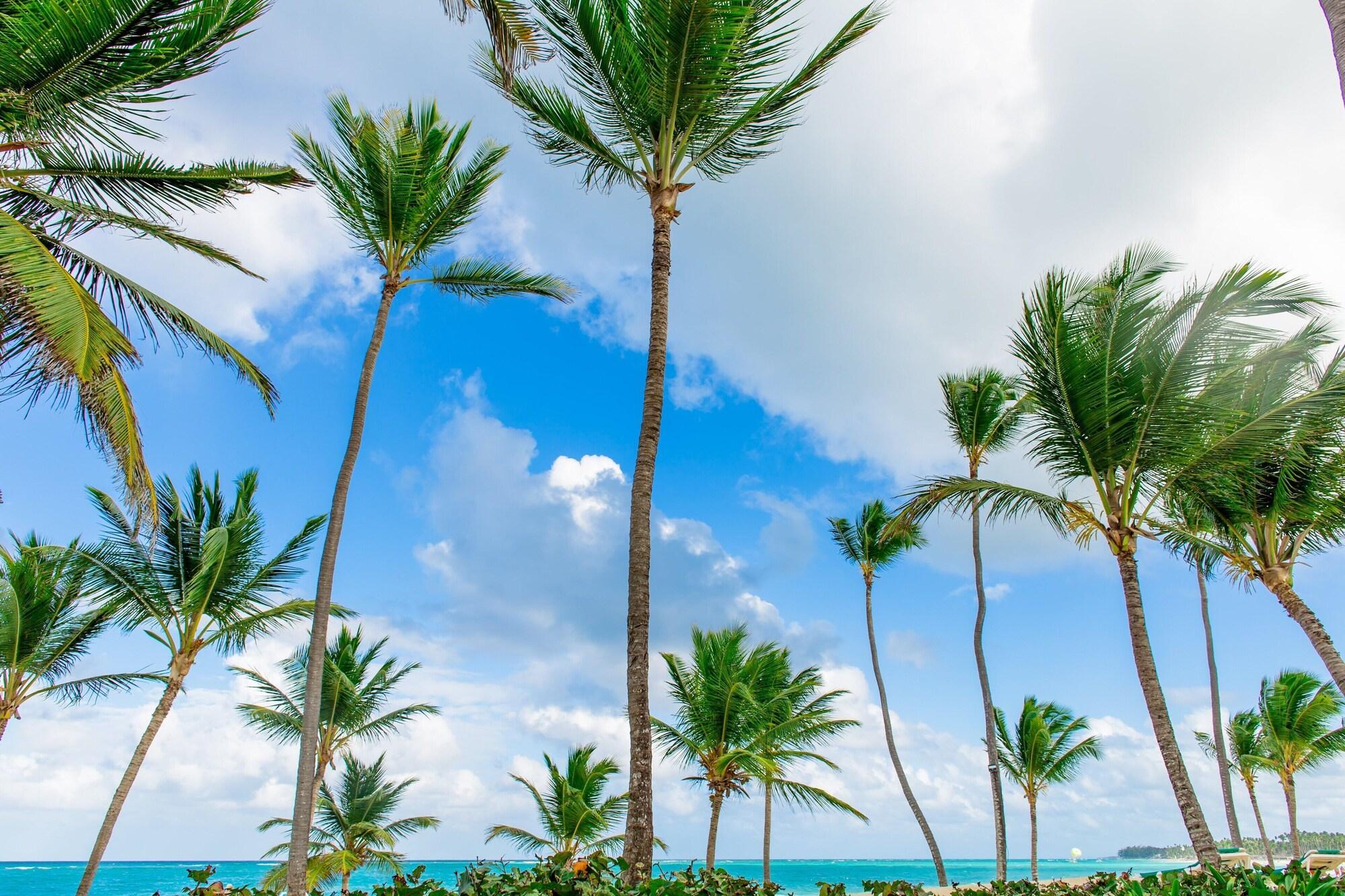 Playa Palm Green Vacations Whitesands