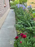 Alquiler Vacacional - Cozy Downtown Zen Destination