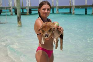 Actividad - Tour en bote por las 3 islas con snorkel