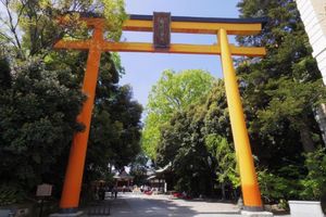 Actividad - Pase de Ida y Vuelta en el Mismo Día para SEIBU Kawagoe