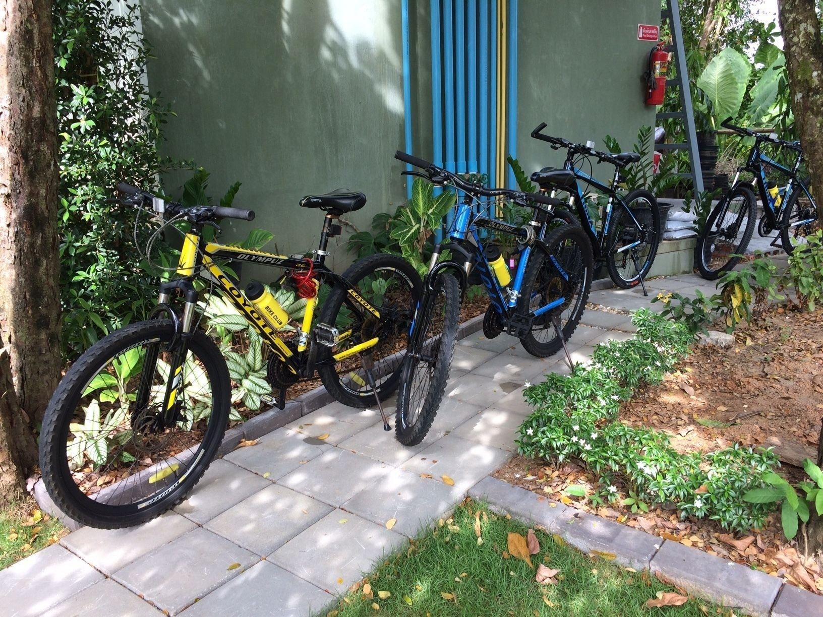 Instalaciones Recreativas At Bangsak Resort