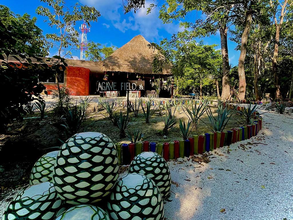 TEQUILA FACTORY CANCUN HOTEL Best Day