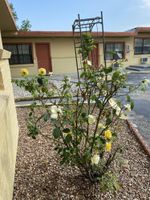 Alojamiento - Madill Inn