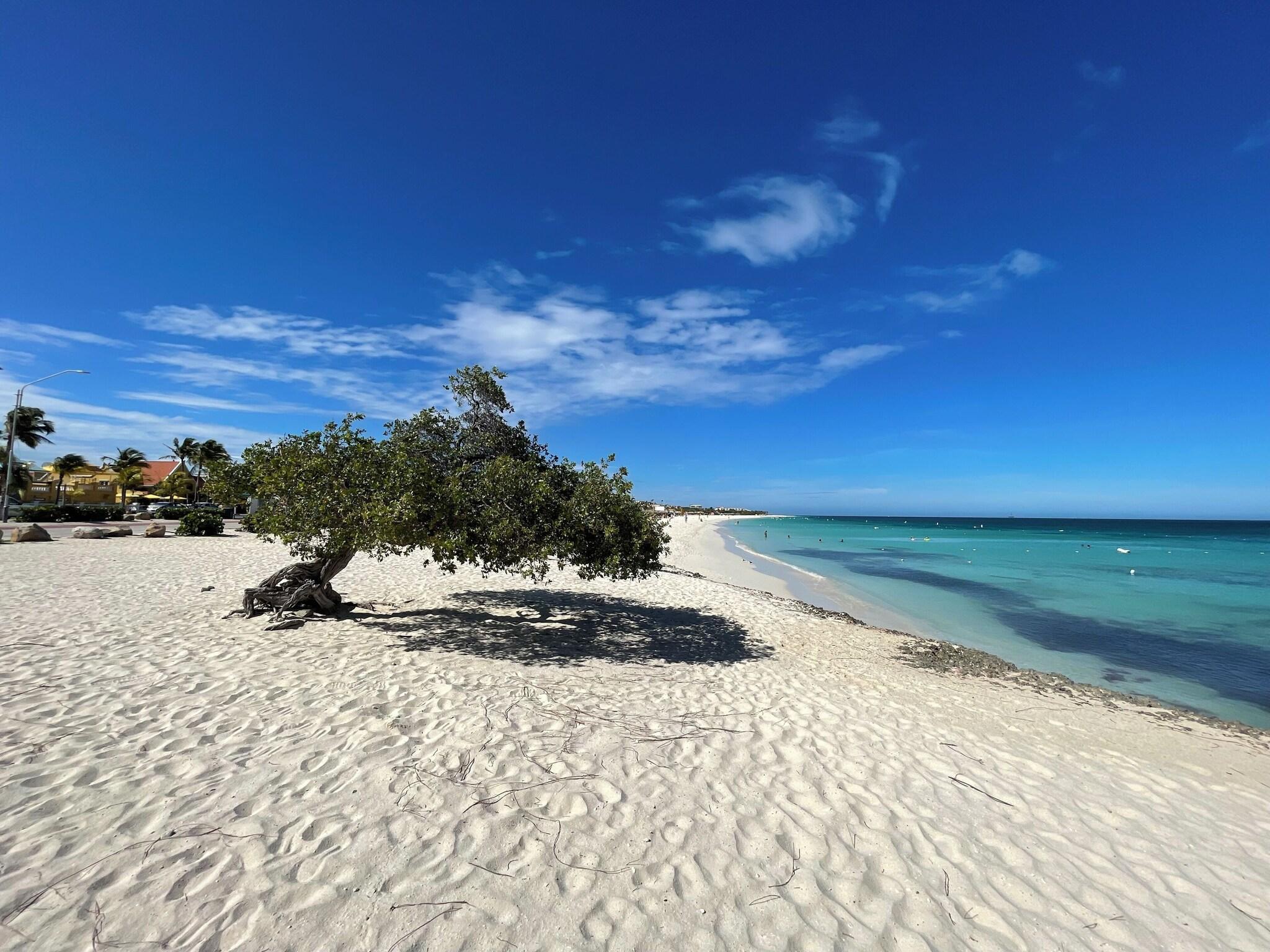Vista Exterior Swiss Paradise Aruba
