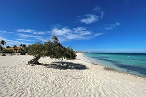 Alojamiento - Swiss Paradise Aruba