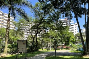 Actividad - Visita sobre la cultura y naturaleza en Cali