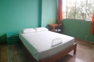 Alojamiento - Plaza Jungle Hostel