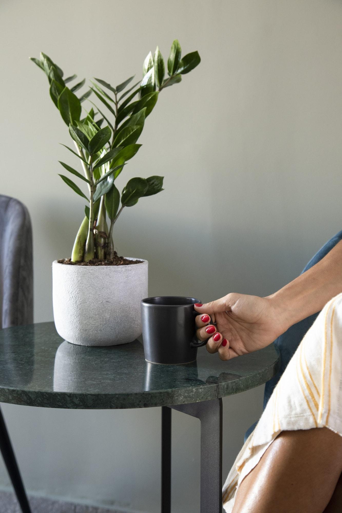 Vista Lobby Pame Paradiso