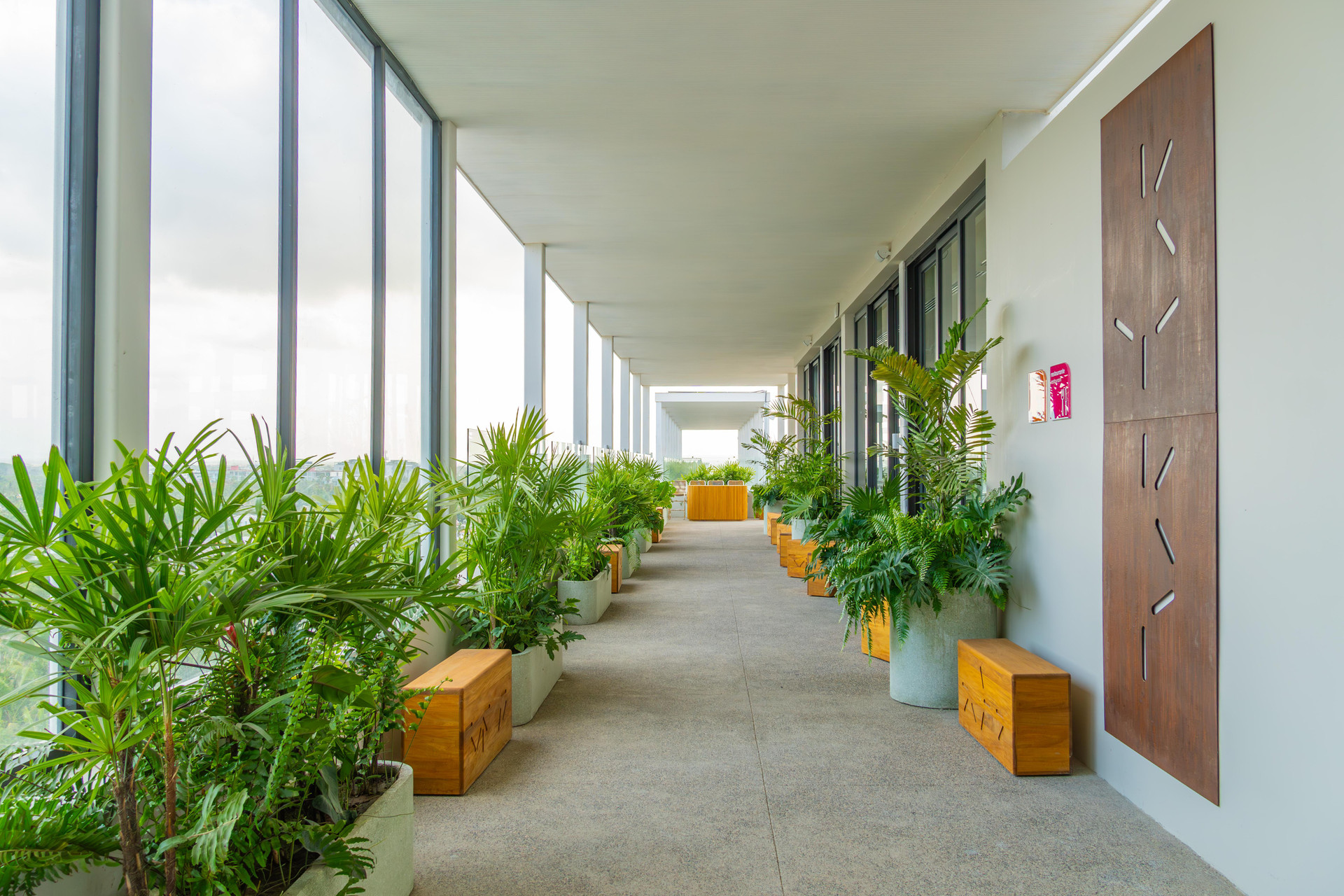 Restaurant Hotel Mio Riviera Nayarit - Adults Only