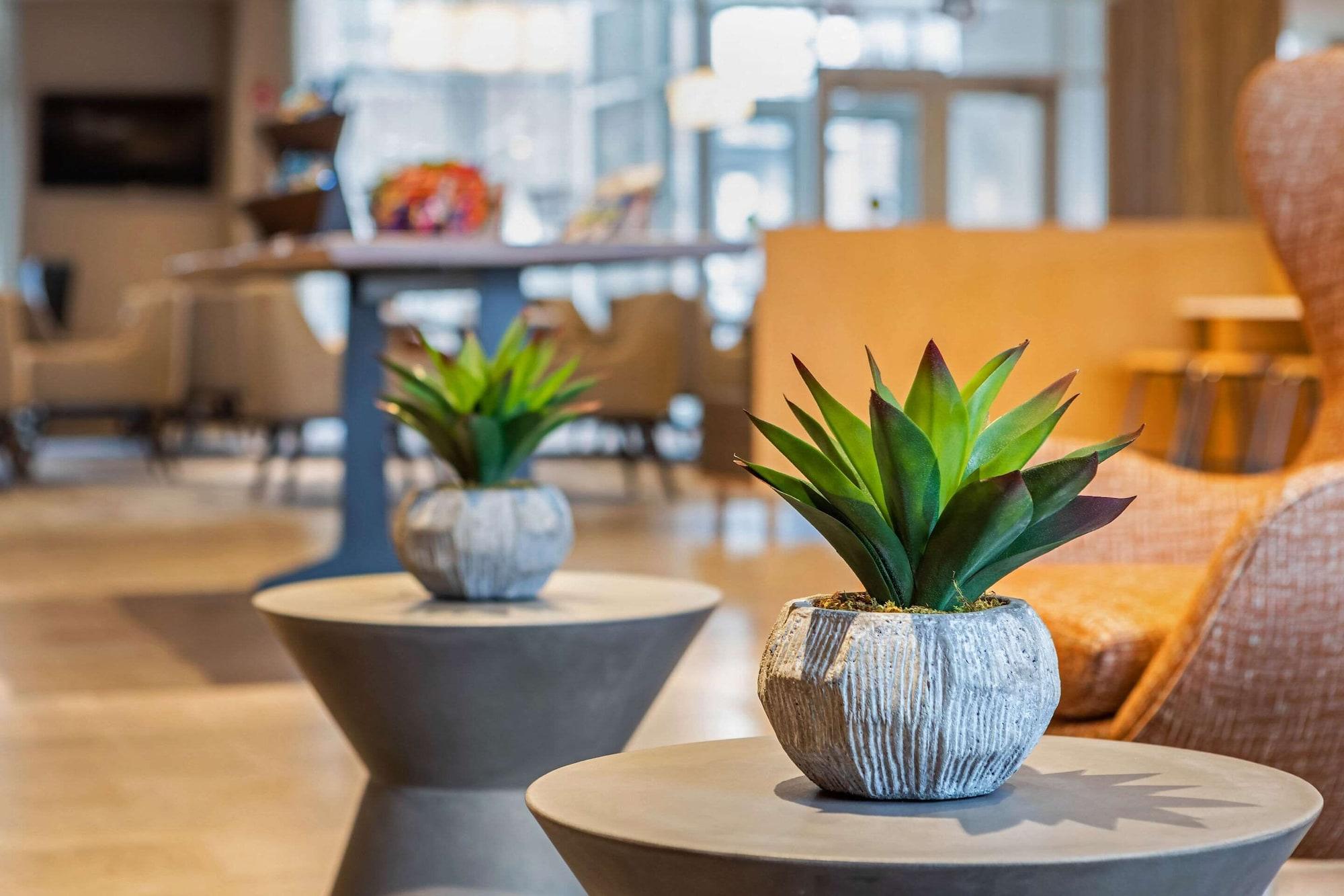Vista Lobby Cambria Hotel Fort Lauderdale Beach