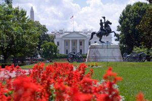 Actividad - Contrastes de Washington y cementerio Arlington