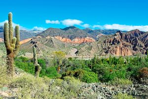 Paquete - Glamping Tilcara El Obrador