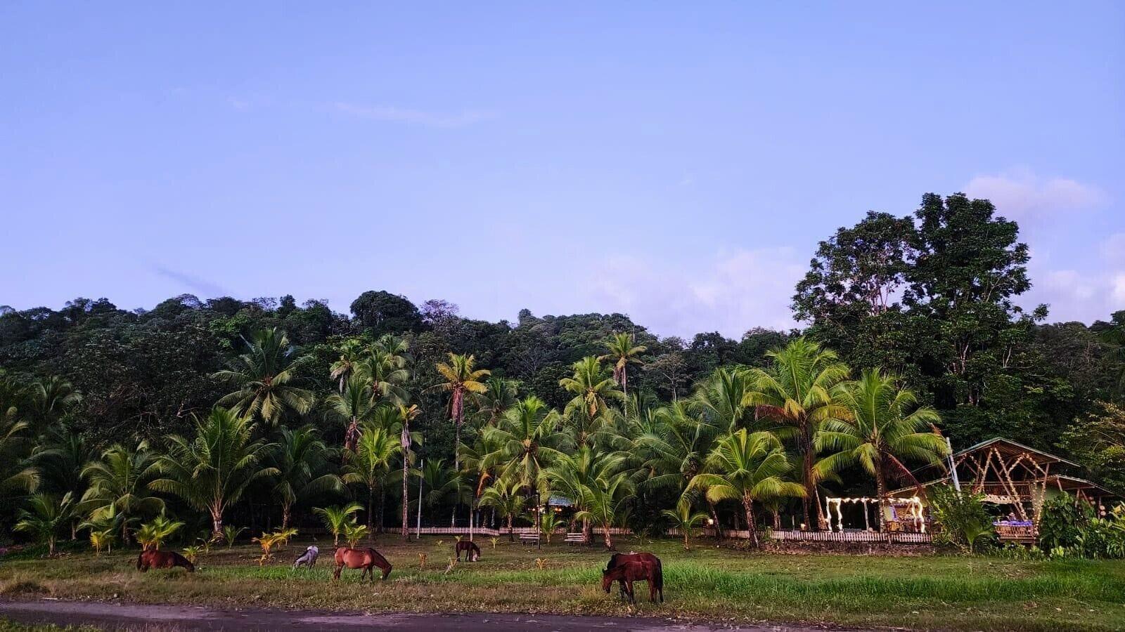 Vista Exterior ECOLODGE EL ALMEJAL