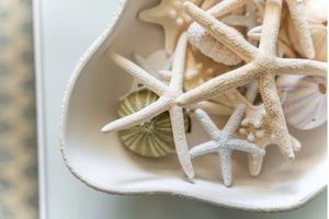 Alquiler Vacacional - 1 Bedroom Resort Condo Eagle Beach & Golf.