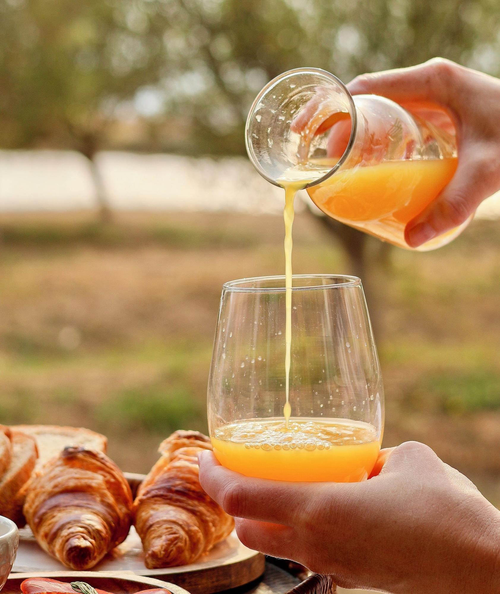 Restaurant Olijvenkraal Winelands Lodge