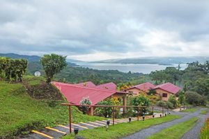 Pacote - Nepenthe B&B