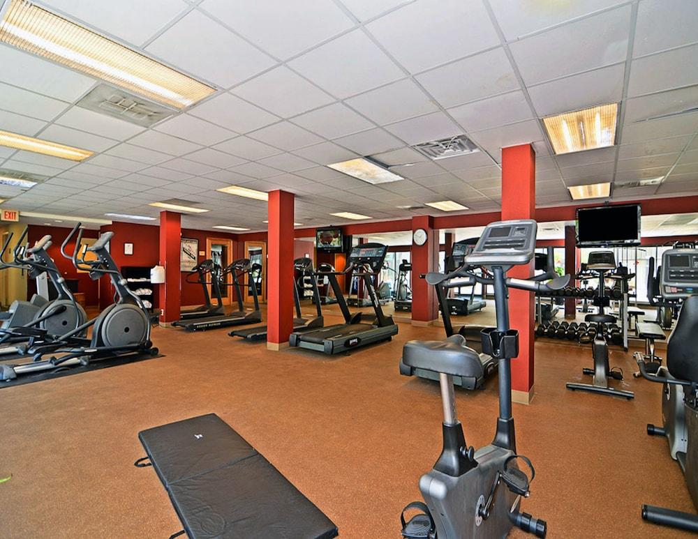 Gimnasio Adam's Mark Buffalo