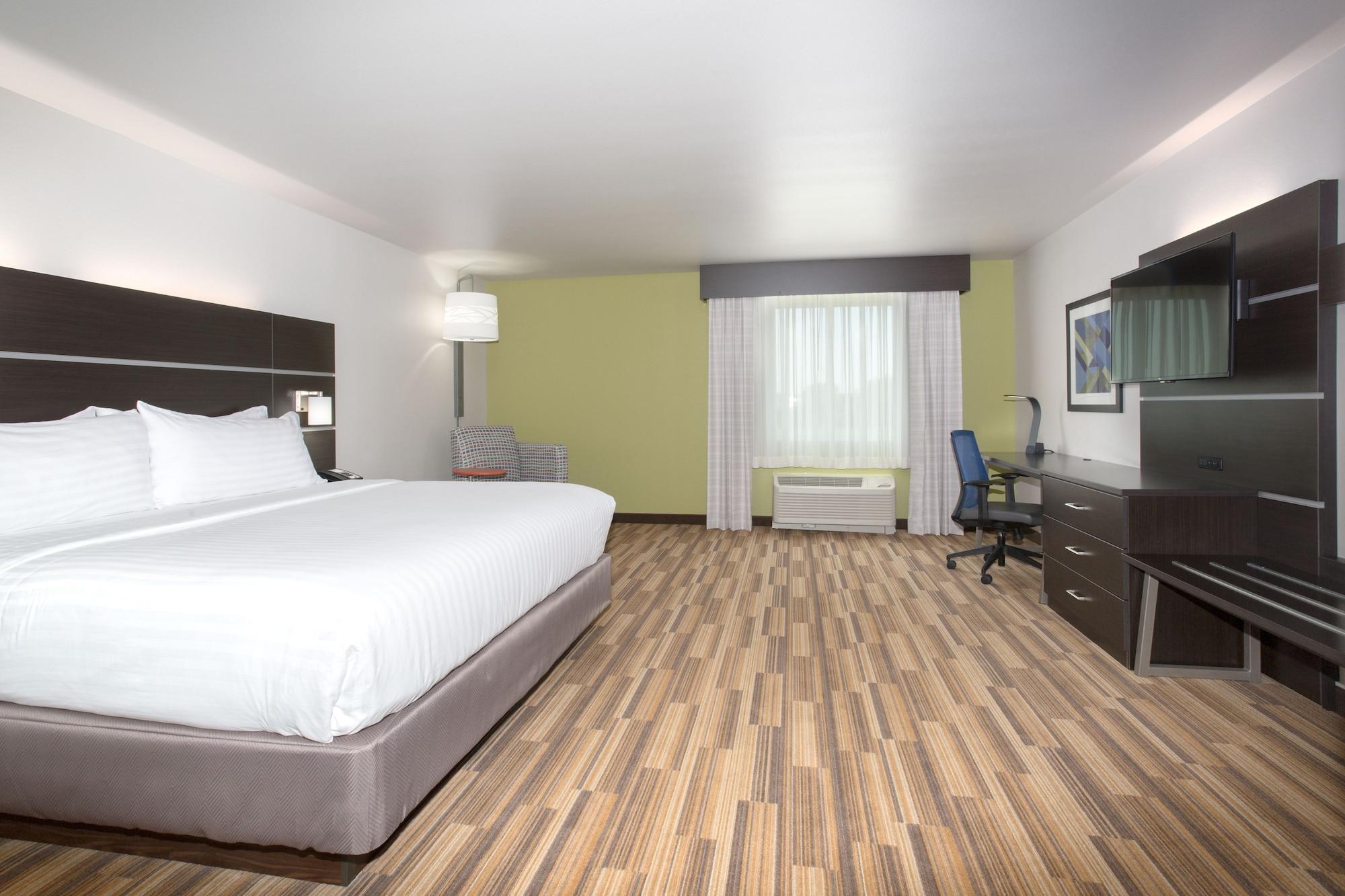 Habitación Holiday Inn Express & Suites Rapid City - Rushmore South by IHG