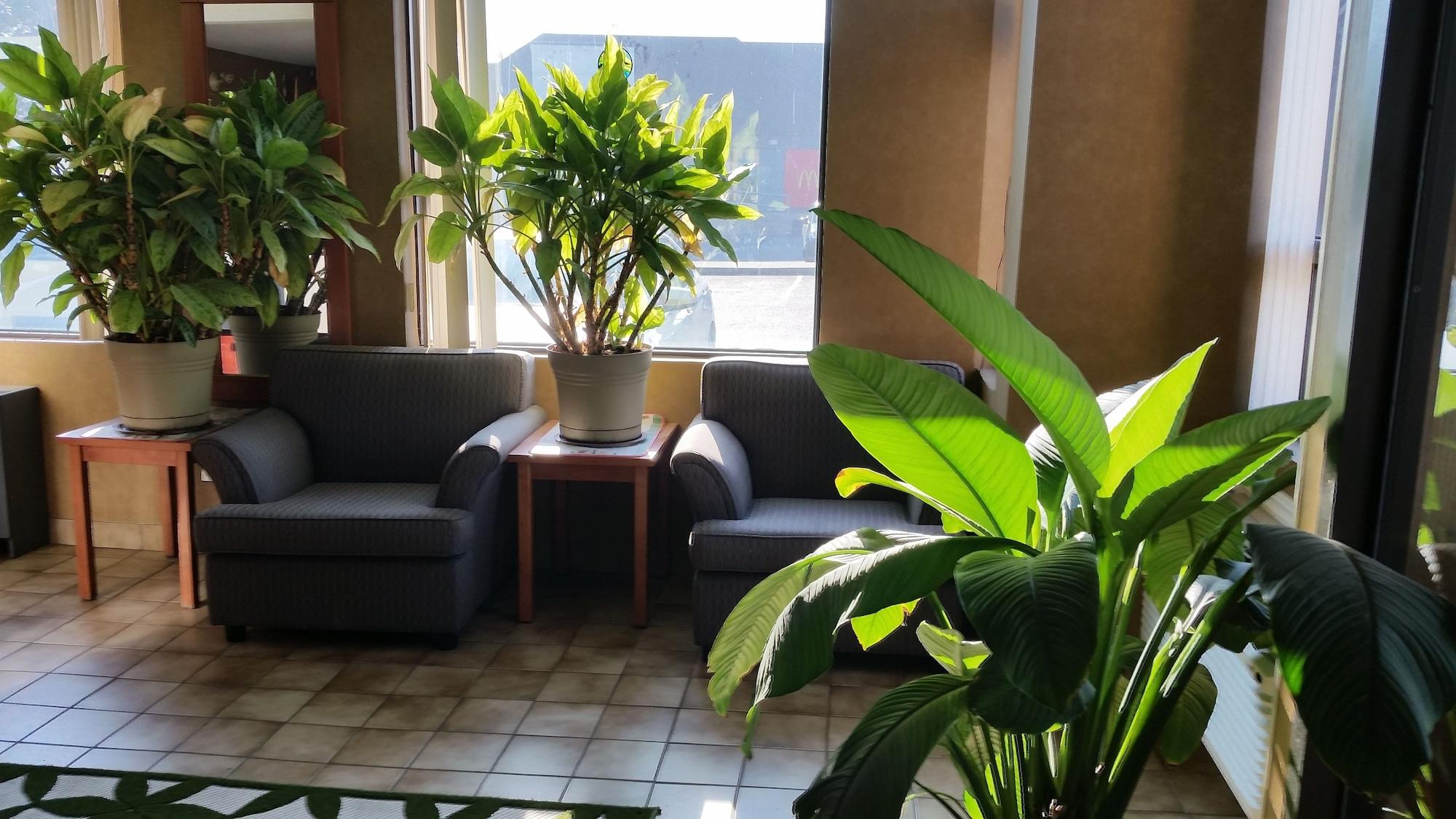 Vista Lobby Avenue Motel