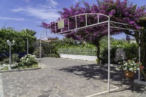 Alojamiento - Villa Iolanda