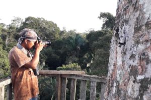 Alojamiento - Kichwa Amazon Lodge