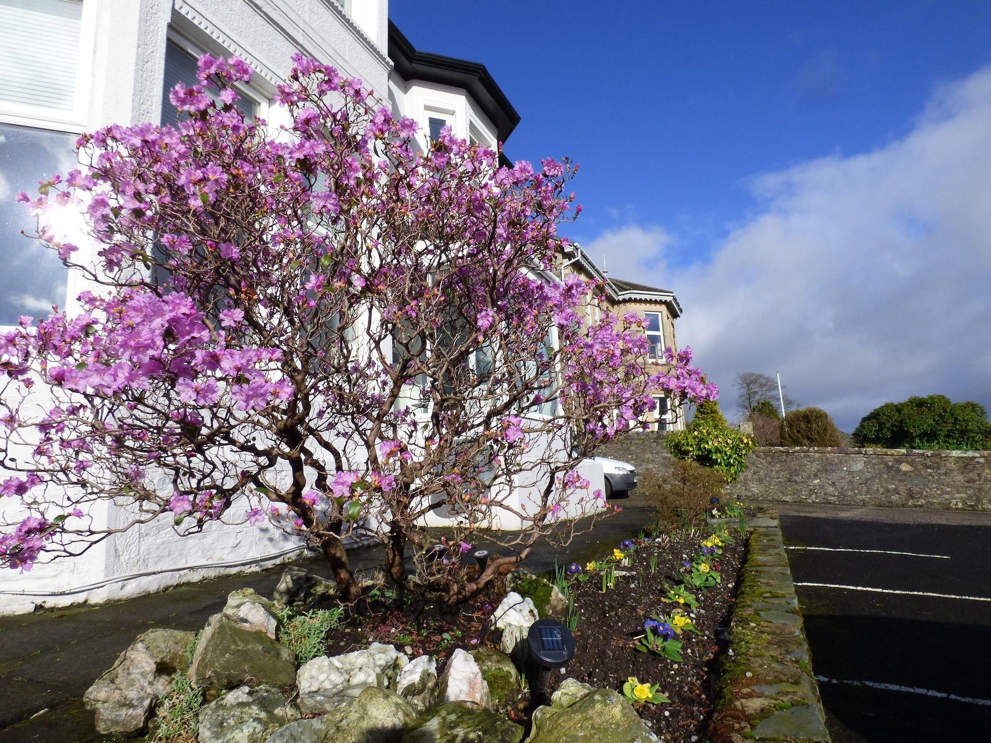 Vista Exterior Douglas Park Guest House