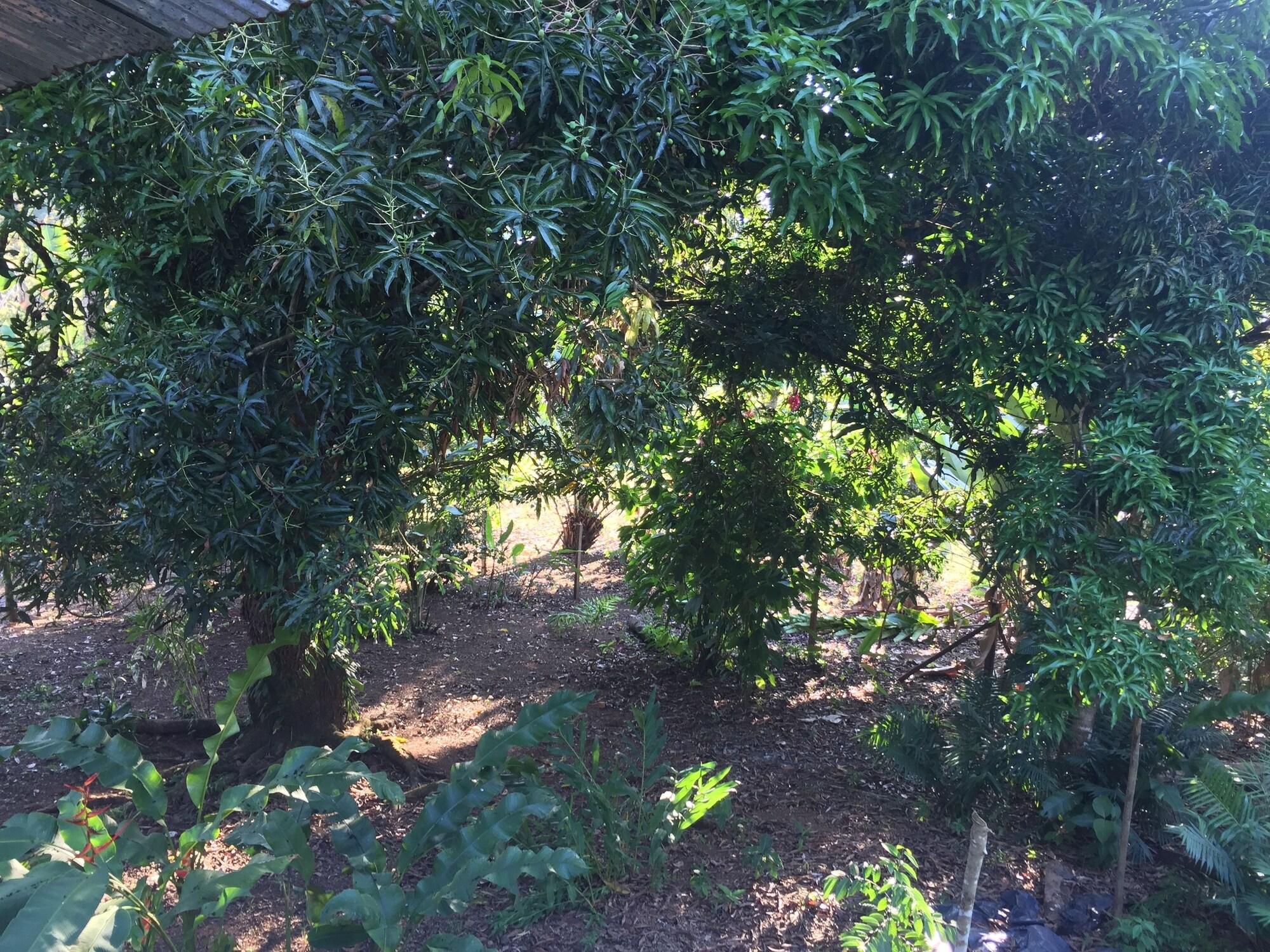 Equipamiento de Habitación Valeska Drake