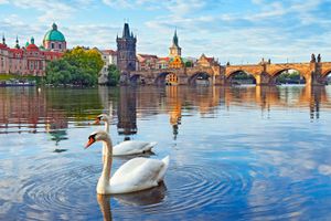 Paquete - Grand Majestic Hotel Prague