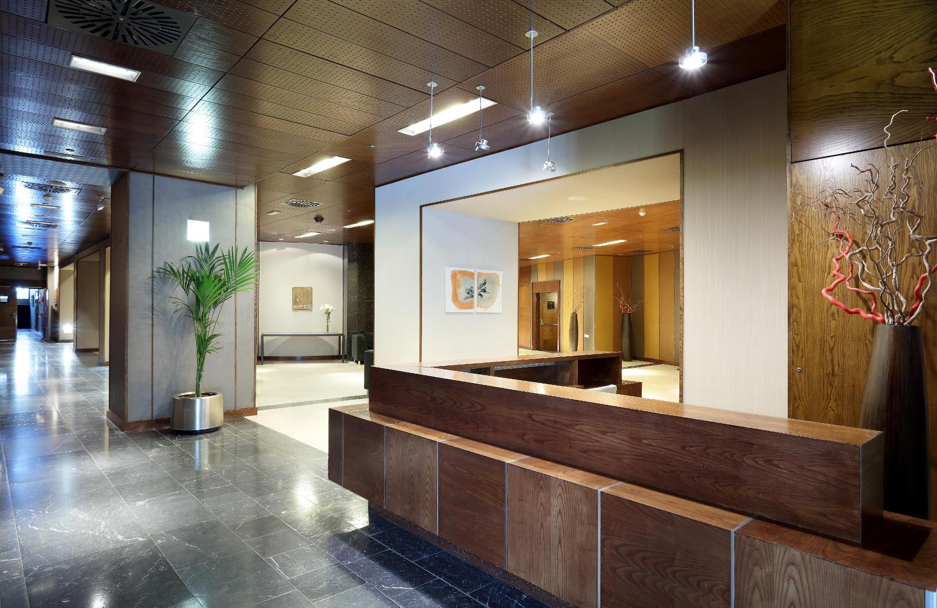 Vista Lobby Eurostars Suites Mirasierra