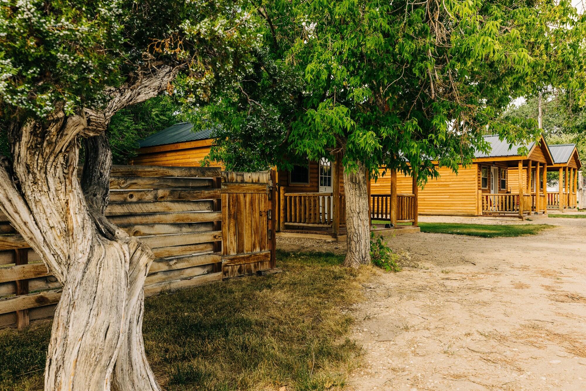 Vista Exterior Rustic Ridge Cabins, Charming Retreat (3 Options!)