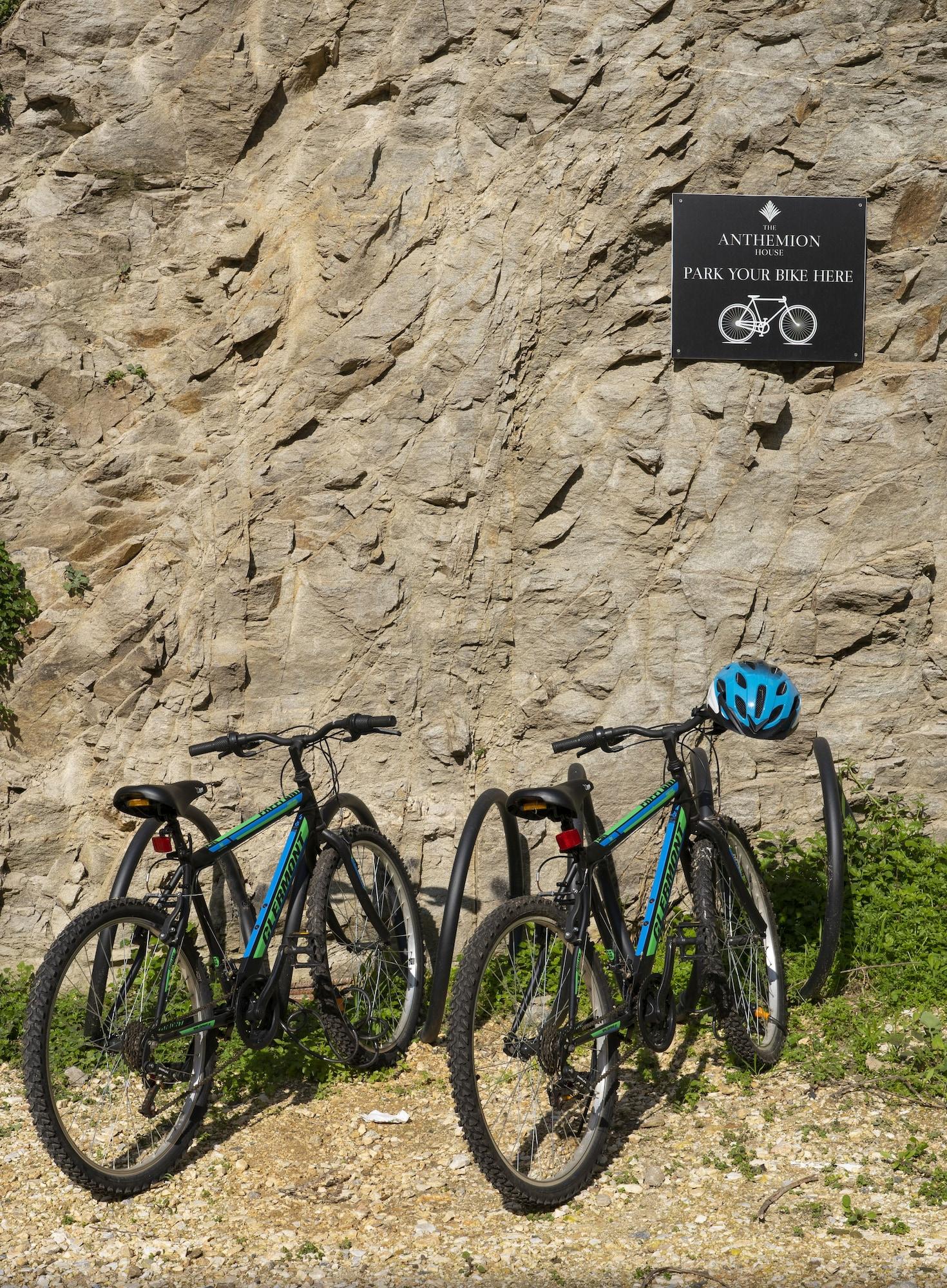 Varios The Anthemion House