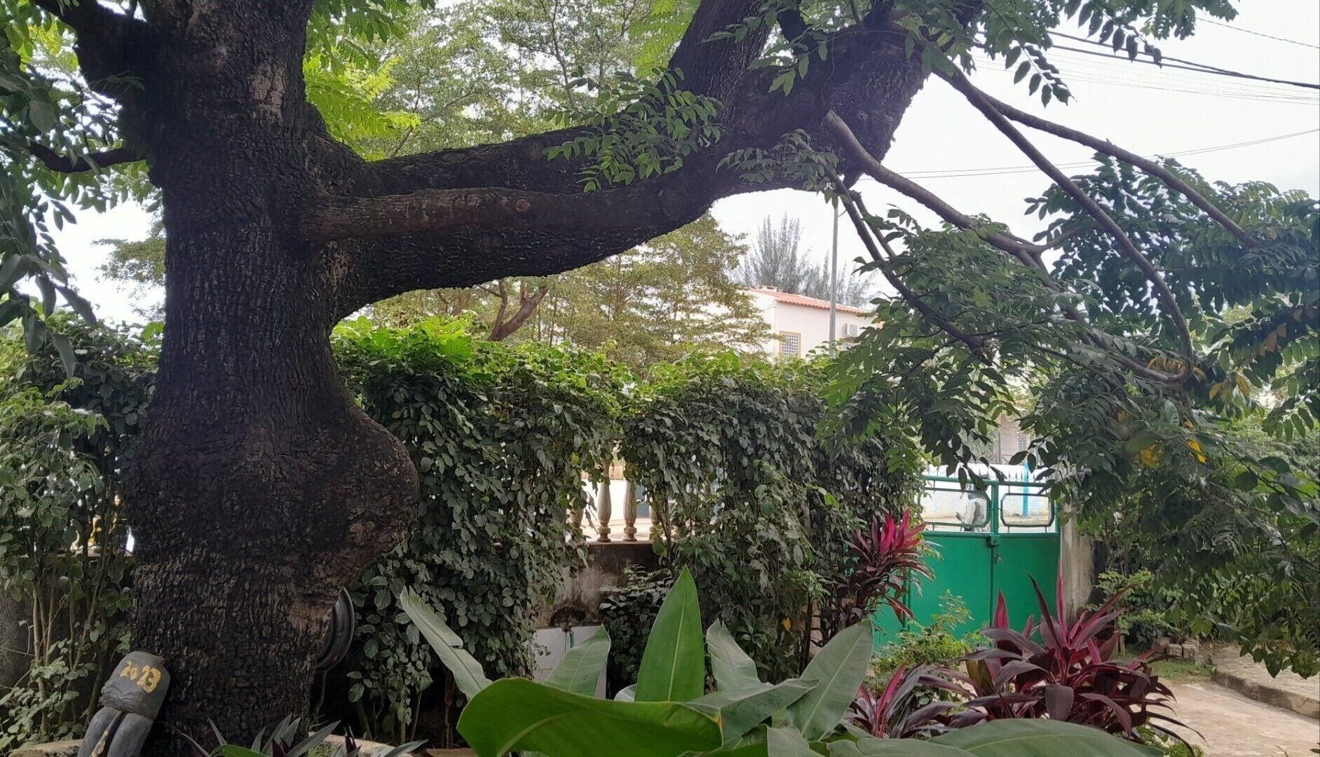 Vista Exterior Casa de Ferias