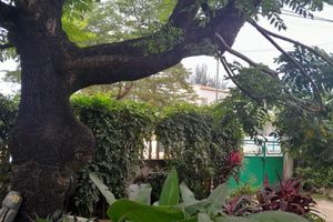 Alojamiento - Casa de Ferias