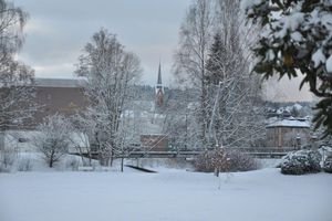 Alojamiento - Hotel König Albert