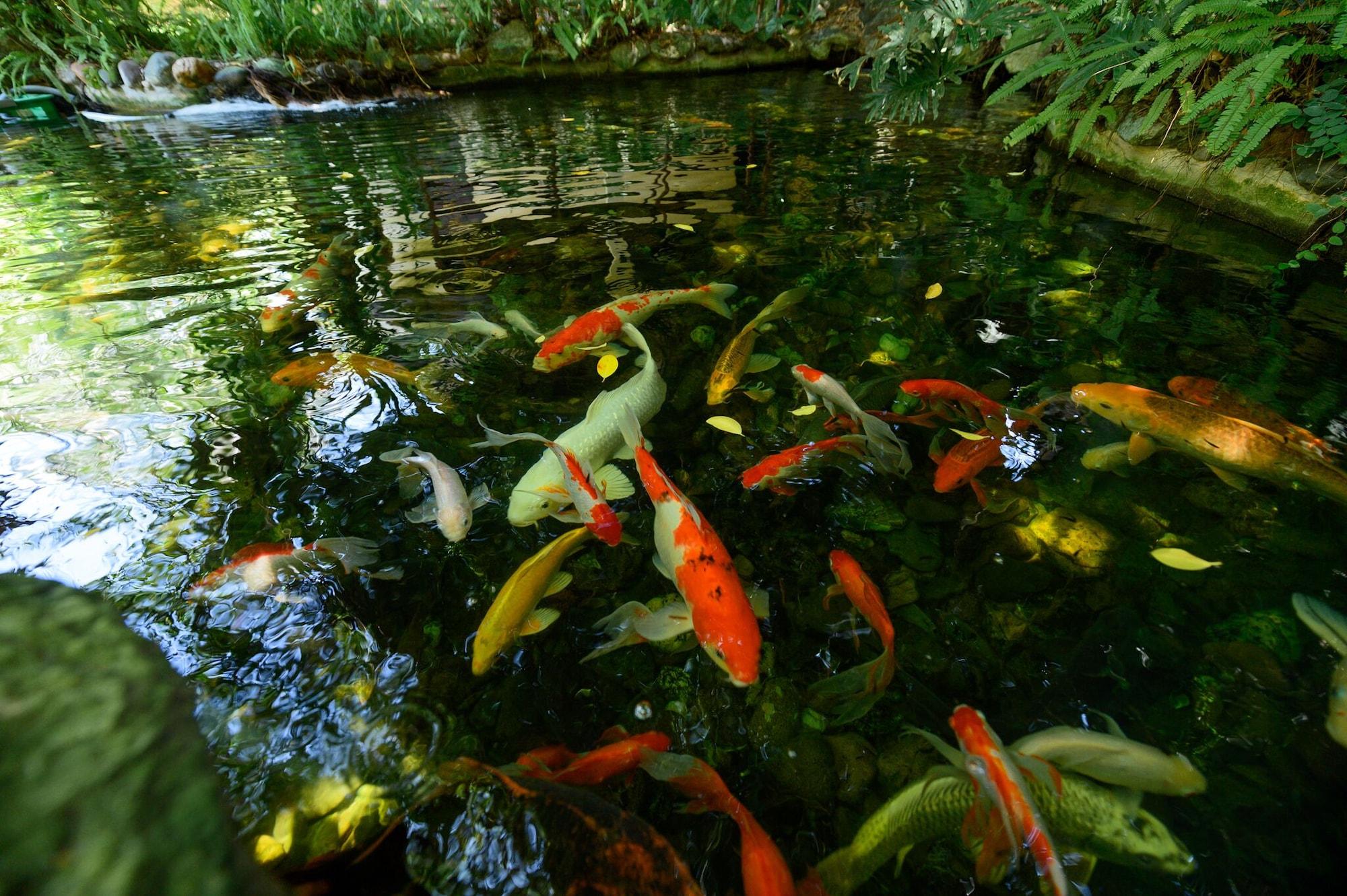 Vista Exterior Sada Hotel