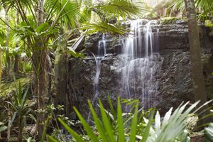 Viceroy Riviera Maya, a Luxury Villa Resort - Adults Only