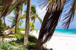 Alquiler Vacacional - Ocean View Coral - Private Beach Resort