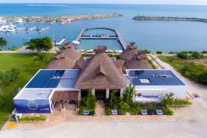 Actividad - Nado con delfines Puerto Morelos