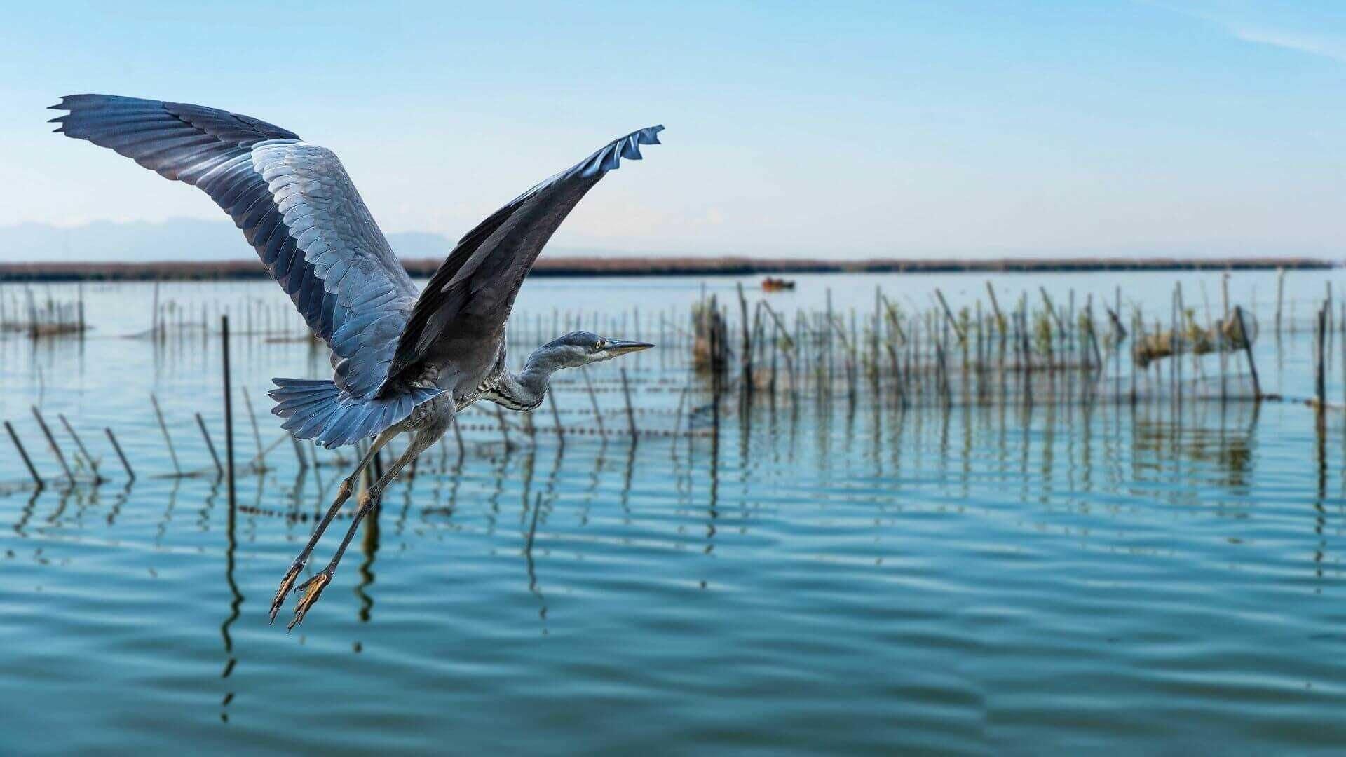 Vista Exterior Albufera Dreams Nature Suites