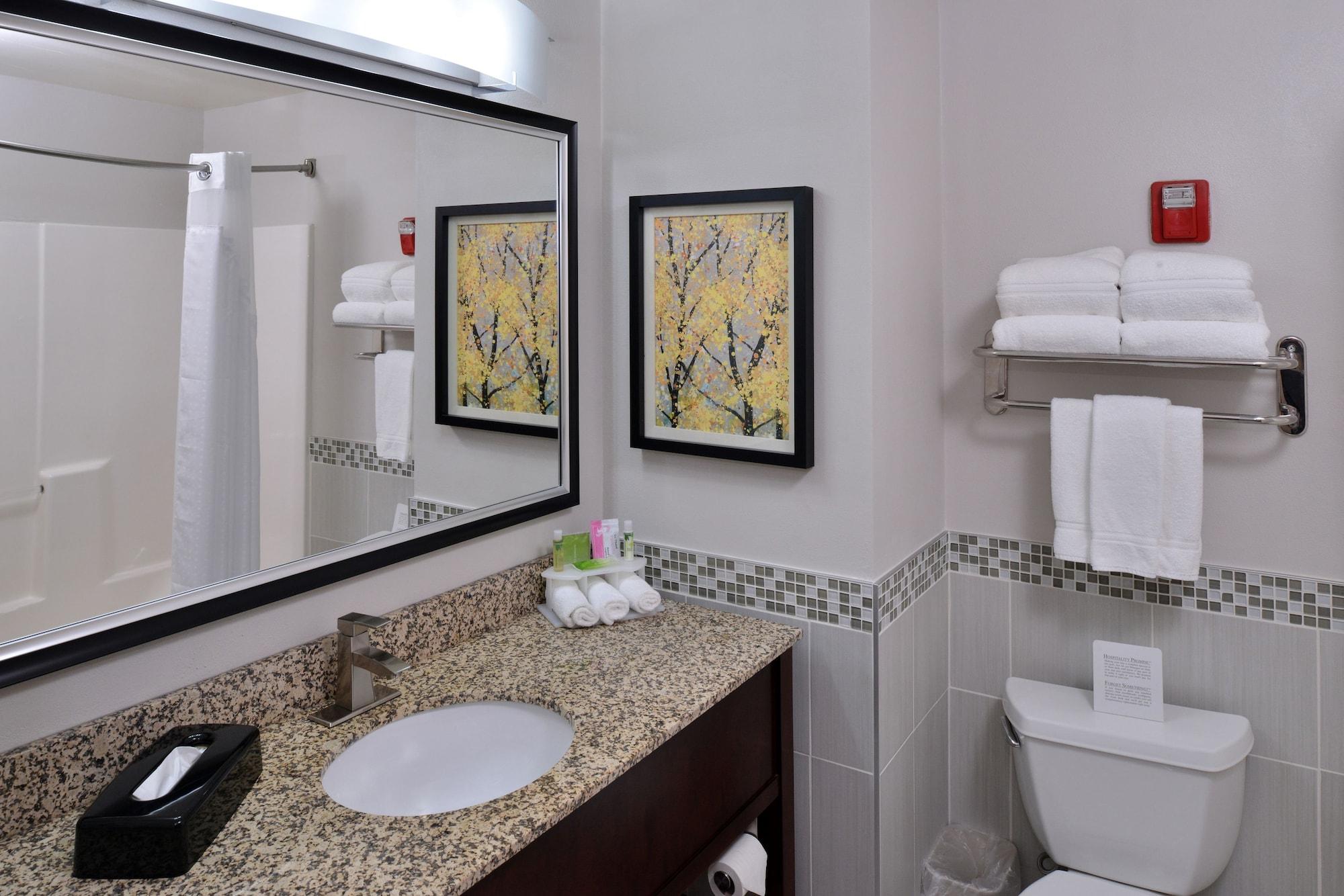 Equipamiento de Habitación Holiday Inn Express & Suites New Berlin by IHG