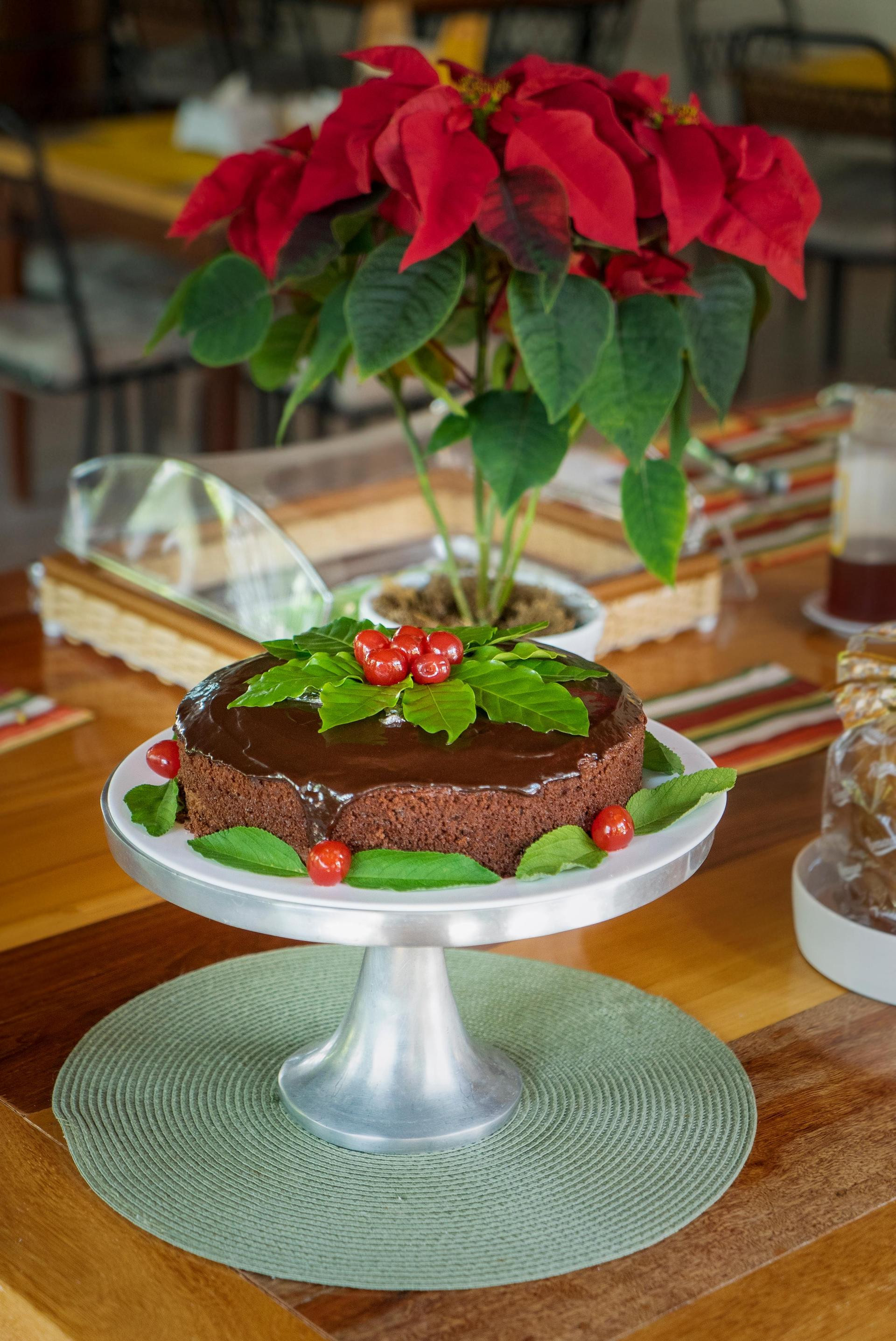 Restaurant Pousada Gira Sol