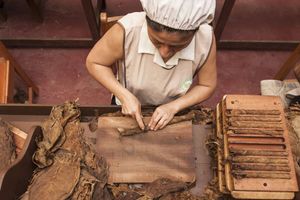 Actividad - Los tesoros escondidos de Tarapoto: Tours por la ciudad, el chocolate y los animales