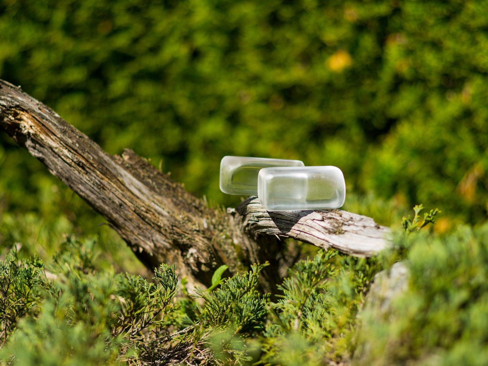 Vista Exterior Hotel Alpenblick