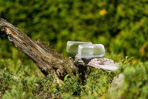 Alojamiento - Hotel Alpenblick