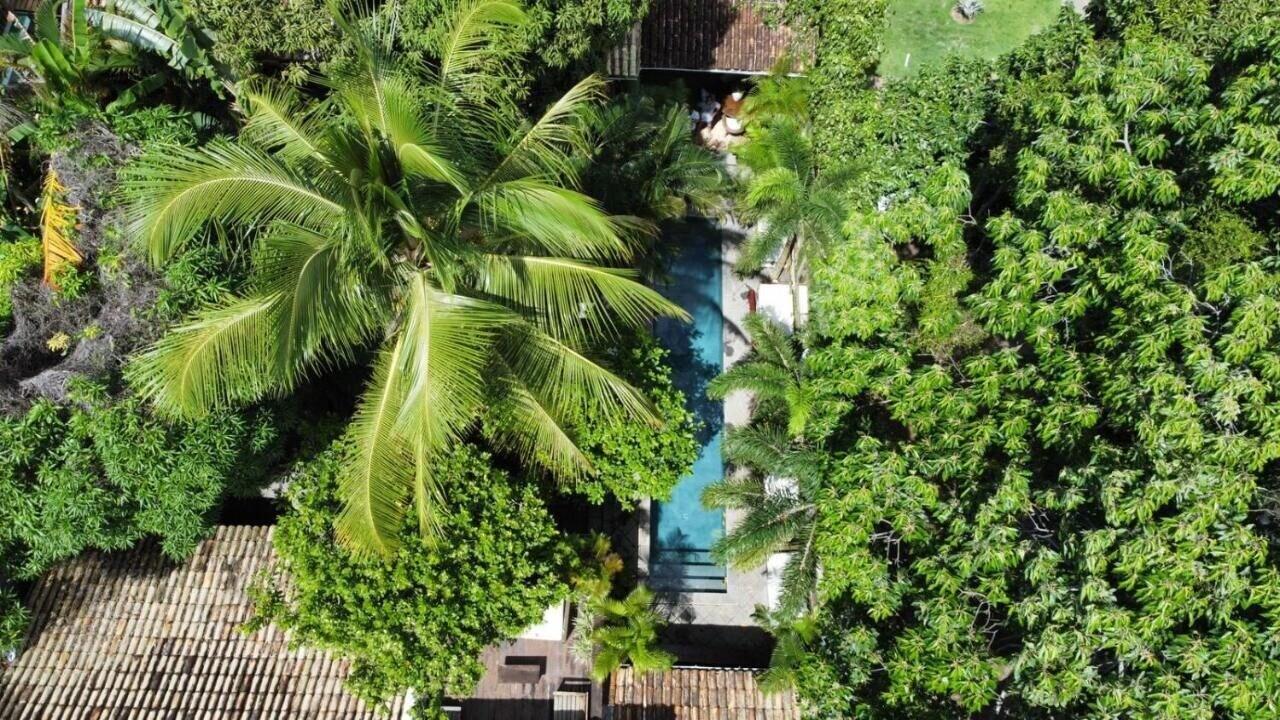 Vista Exterior Monkey Casa Hotel