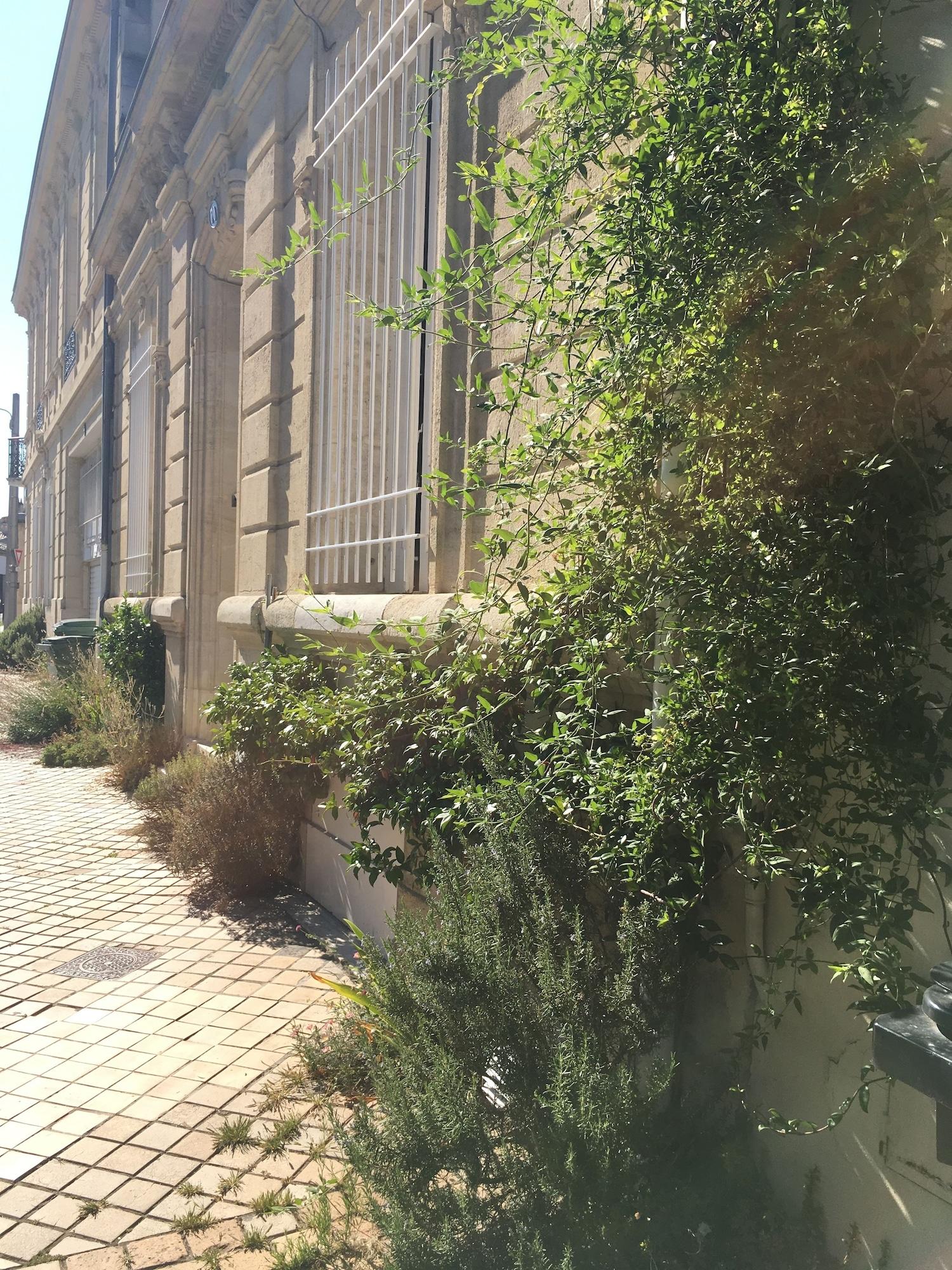 Vista Exterior Blue Lodge in Bordeaux