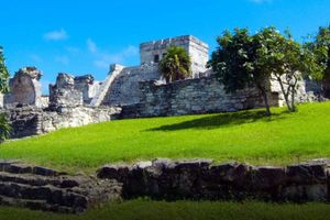 Actividad - Tour 5 en 1:Tulum, Coba, Cenote,Aldea Maya y 5ta Av