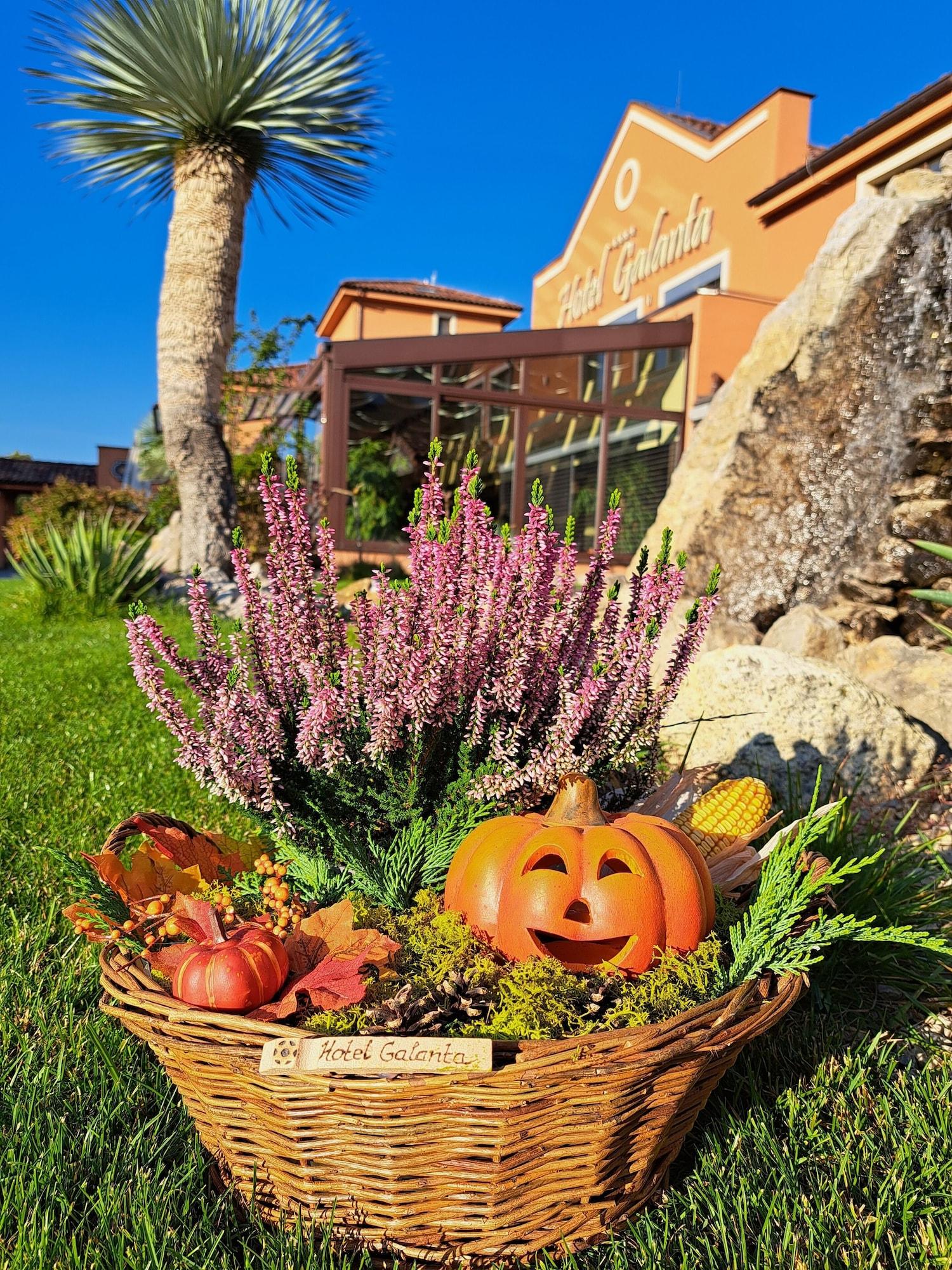 Vista Exterior Hotel Galanta
